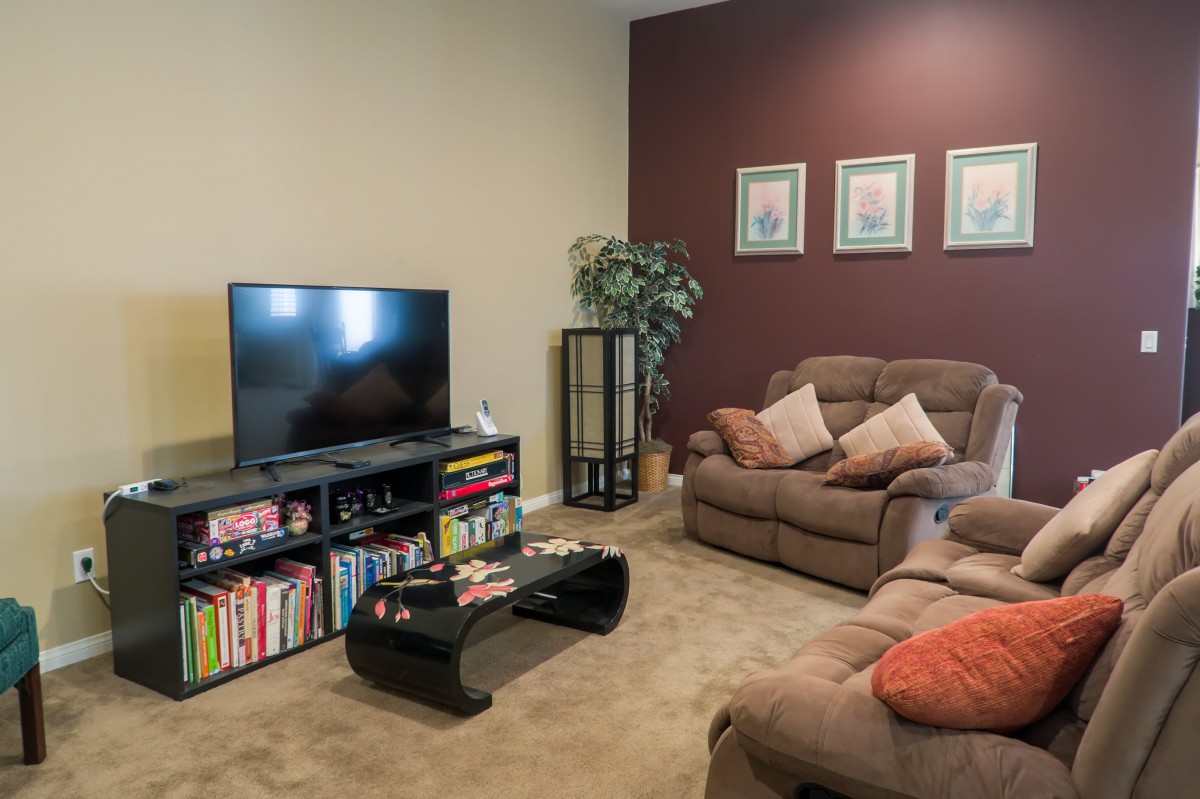 Cozy living room with a TV, sofa, and bookshelves.