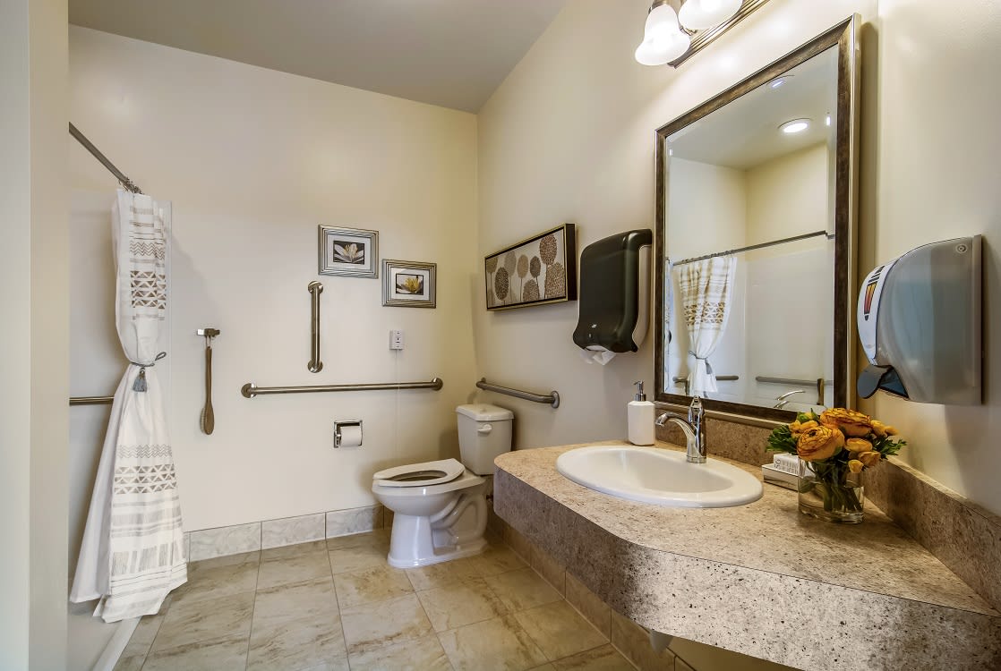 A well-designed accessible bathroom with modern amenities and neutral tones.