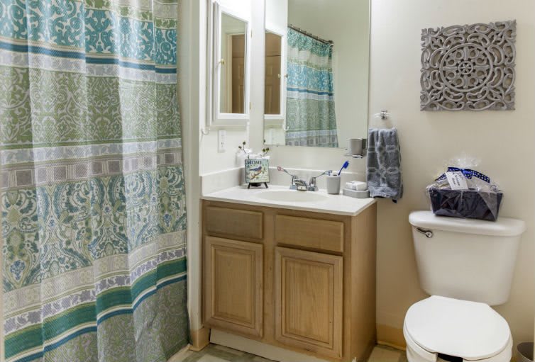 A tidy bathroom featuring a sink with a mirror, shower curtain, and toilet.