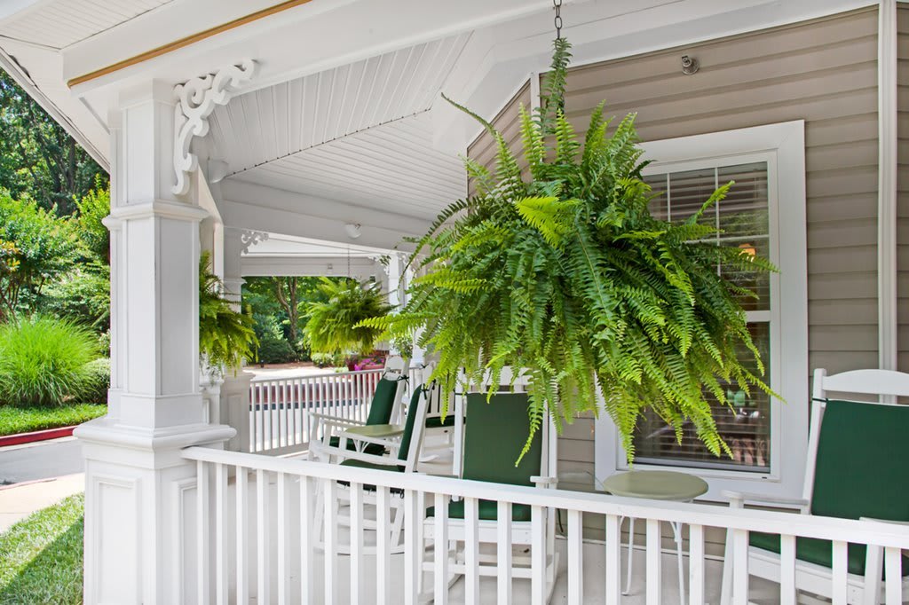 A cozy porch with hanging ferns and rocking chairs.