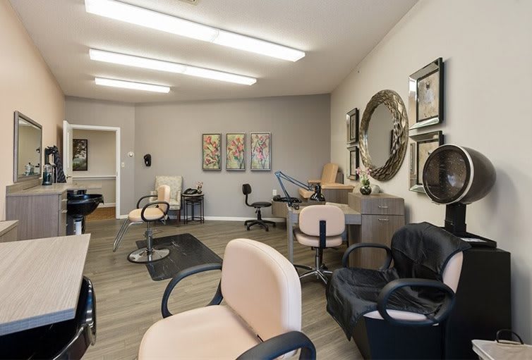 A modern and cozy hair salon with multiple styling chairs and mirrors.
