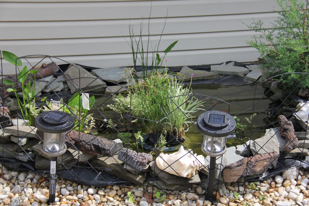 A small garden pond surrounded by rocks and solar lights, featuring aquatic plants.