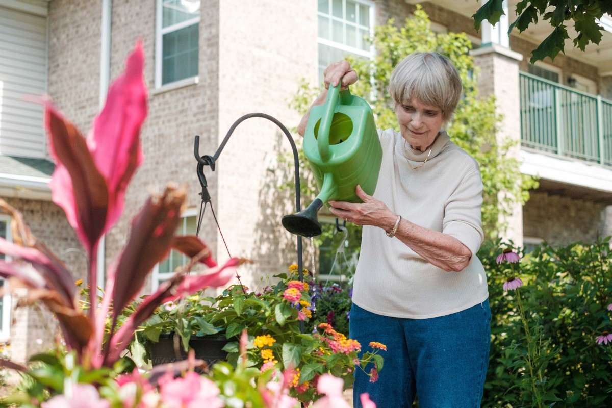 A senior woman waters her garden on a sunny day.
