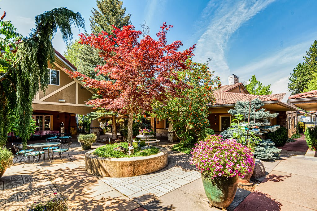 A beautifully landscaped garden with vibrant trees and plants surrounding a home courtyard.