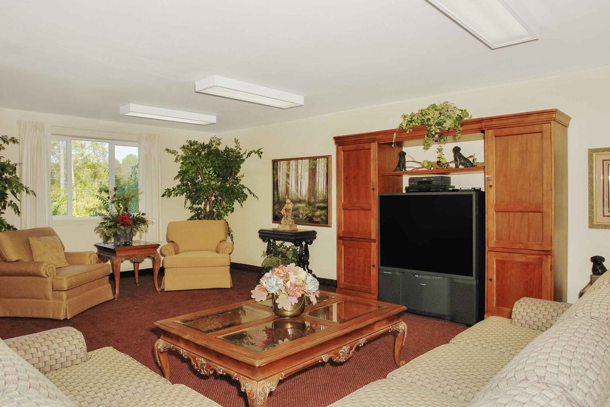 A cozy living room with comfortable furniture, a large television, and decorative plants.