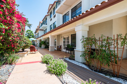 A sunny courtyard of a hotel, featuring lush greenery and inviting seating areas.