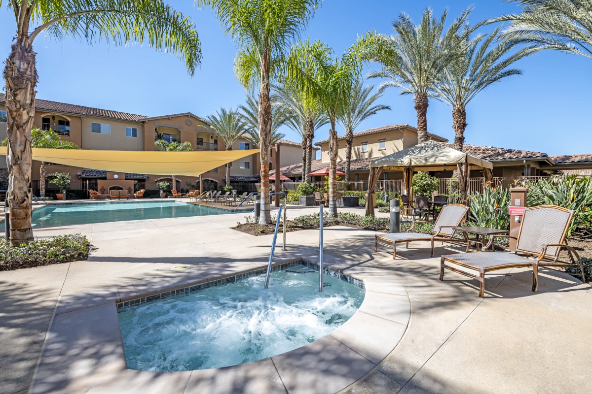 A sunny resort pool area with a hot tub surrounded by palm trees.