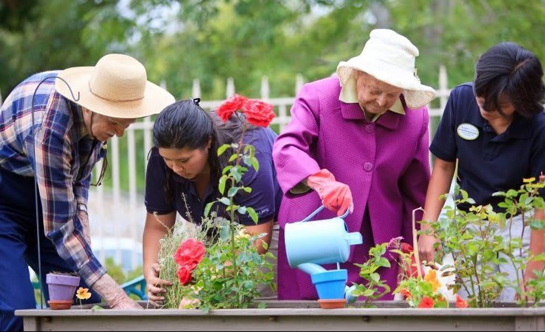 A group of people working together in a garden, tending to plants and flowers.