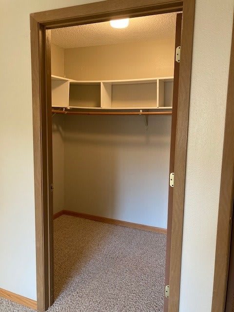 Empty walk-in closet with built-in shelves and storage space.