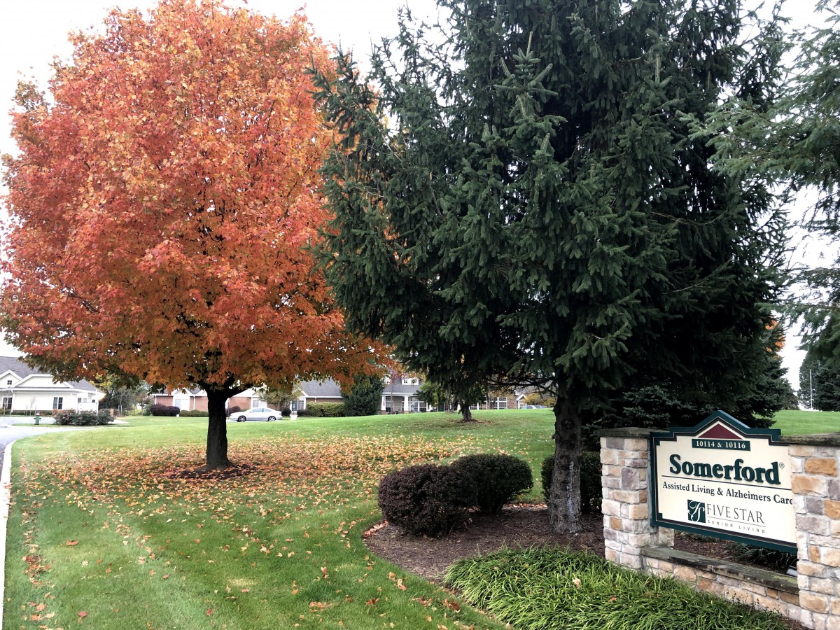 A serene neighborhood scene featuring colorful autumn foliage and a community sign.