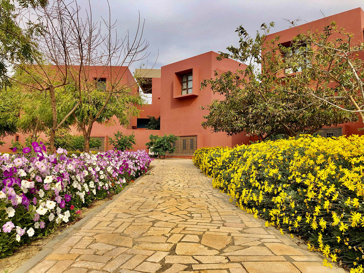 A scenic pathway lined with colorful flowers leads to a modern building, surrounded by lush greenery.