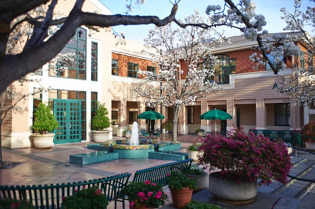 A peaceful courtyard with a central fountain, surrounded by blooming trees and flowers, offering outdoor seating under green umbrellas.