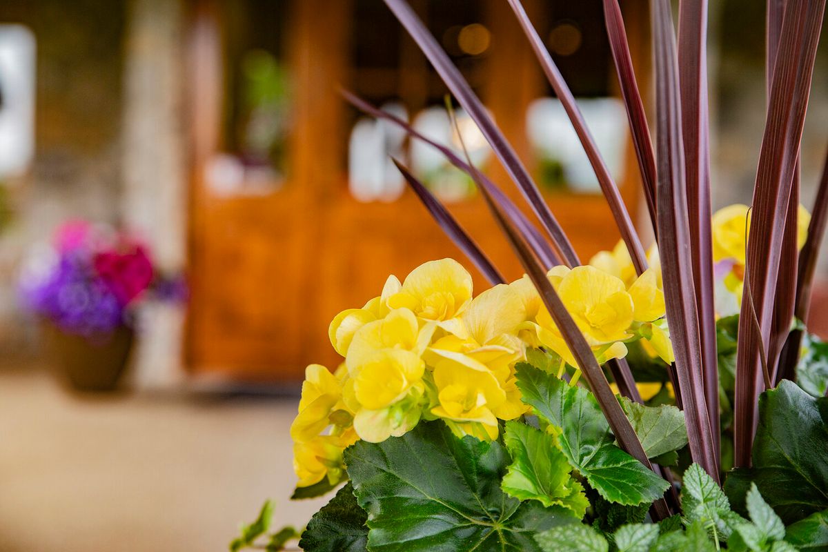 A vibrant floral arrangement featuring bright yellow flowers and lush green leaves.