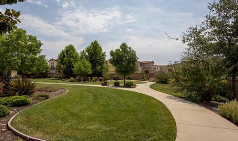 A serene view of a park with a paved pathway winding through lush greenery and trees.