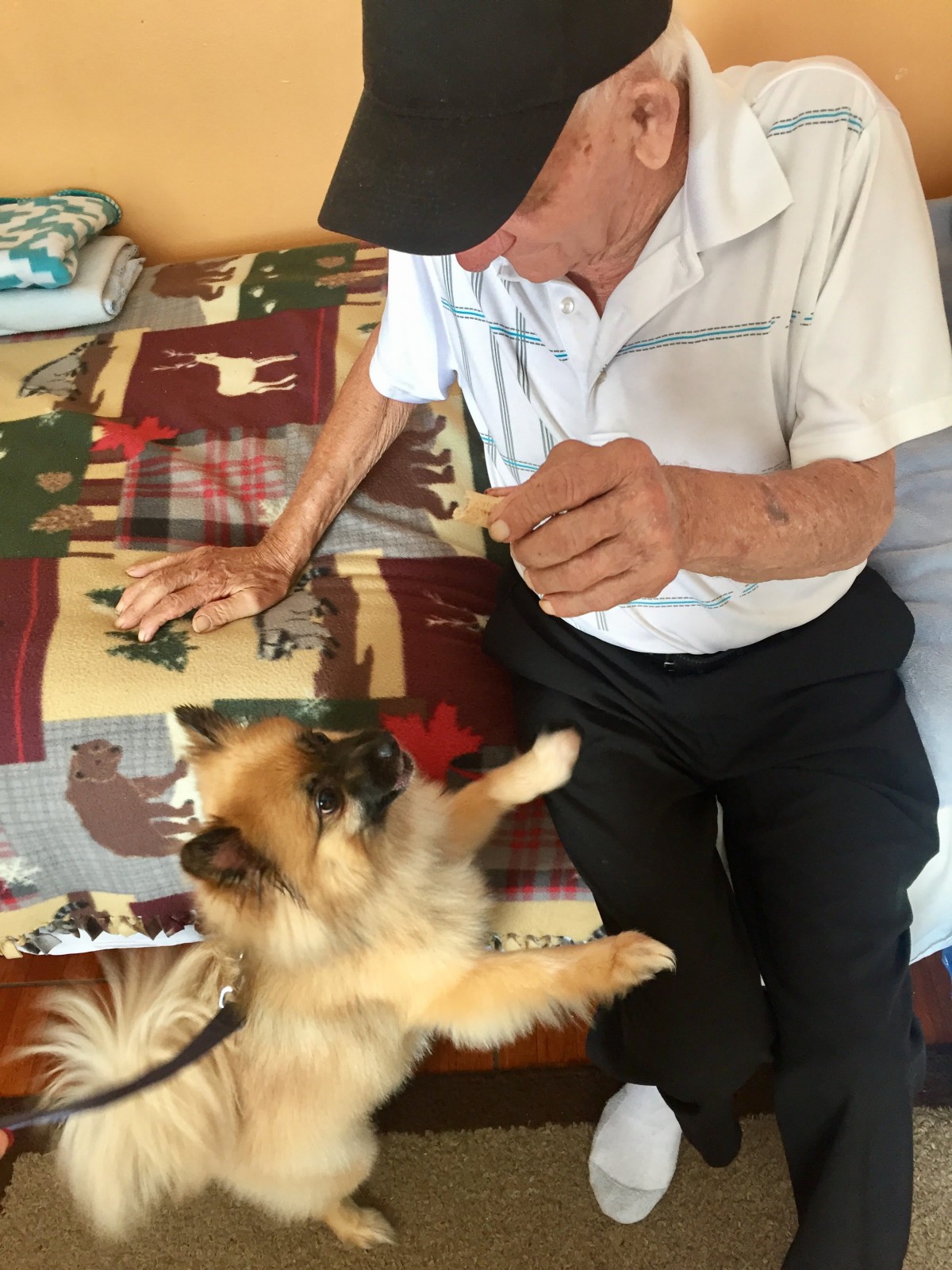 Kozy Kove Assisted Living Facility
