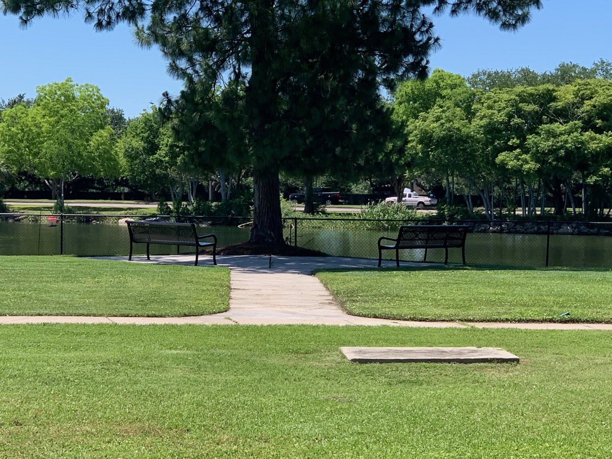 A serene park scene with benches facing a pond, surrounded by lush greenery and trees.