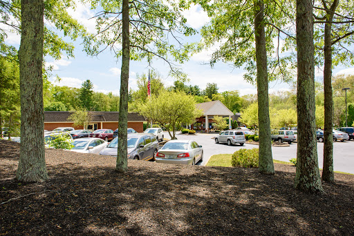 A serene view of a parking lot surrounded by trees, featuring a building in the background.