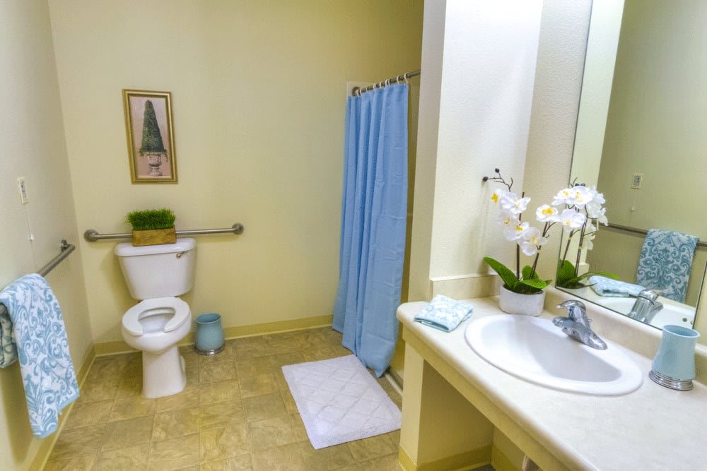 A clean, well-organized bathroom featuring a sink with an orchid plant, a toilet, and a shower area with a blue curtain.