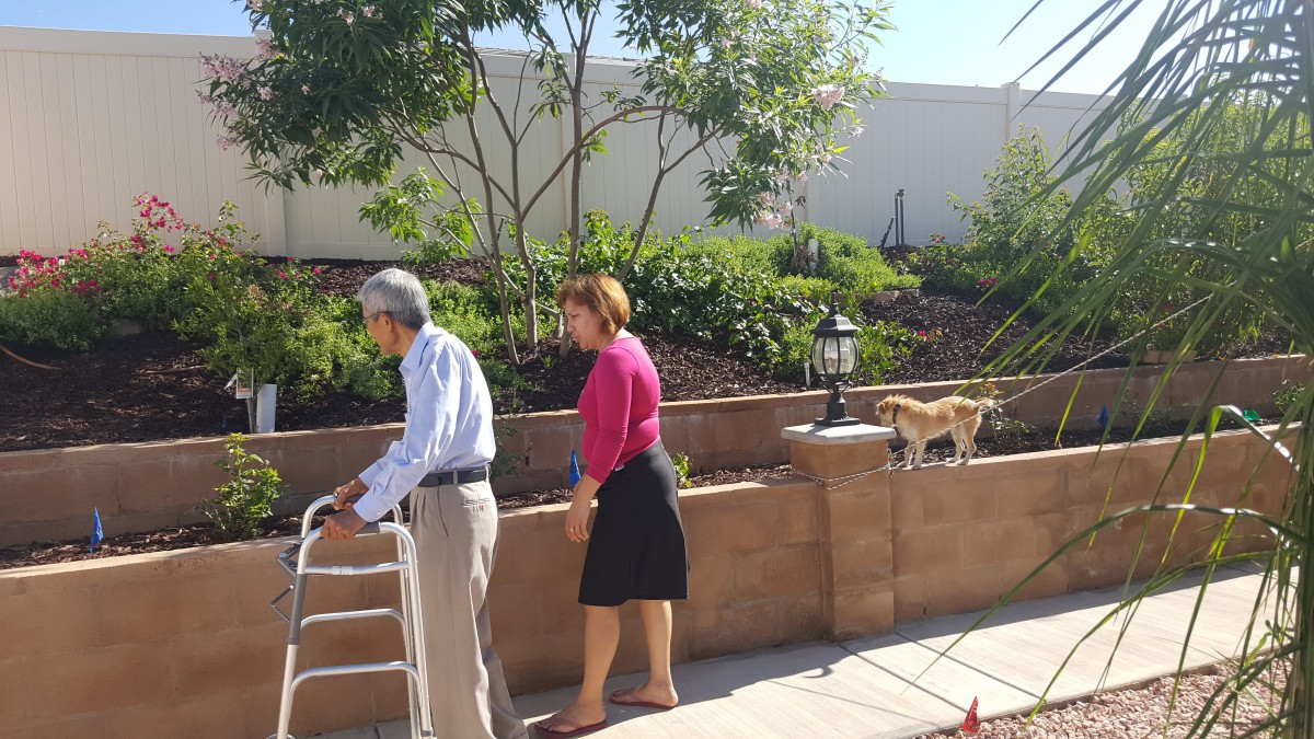 An elderly man using a walker and a woman walking alongside him in a garden with a small dog nearby.
