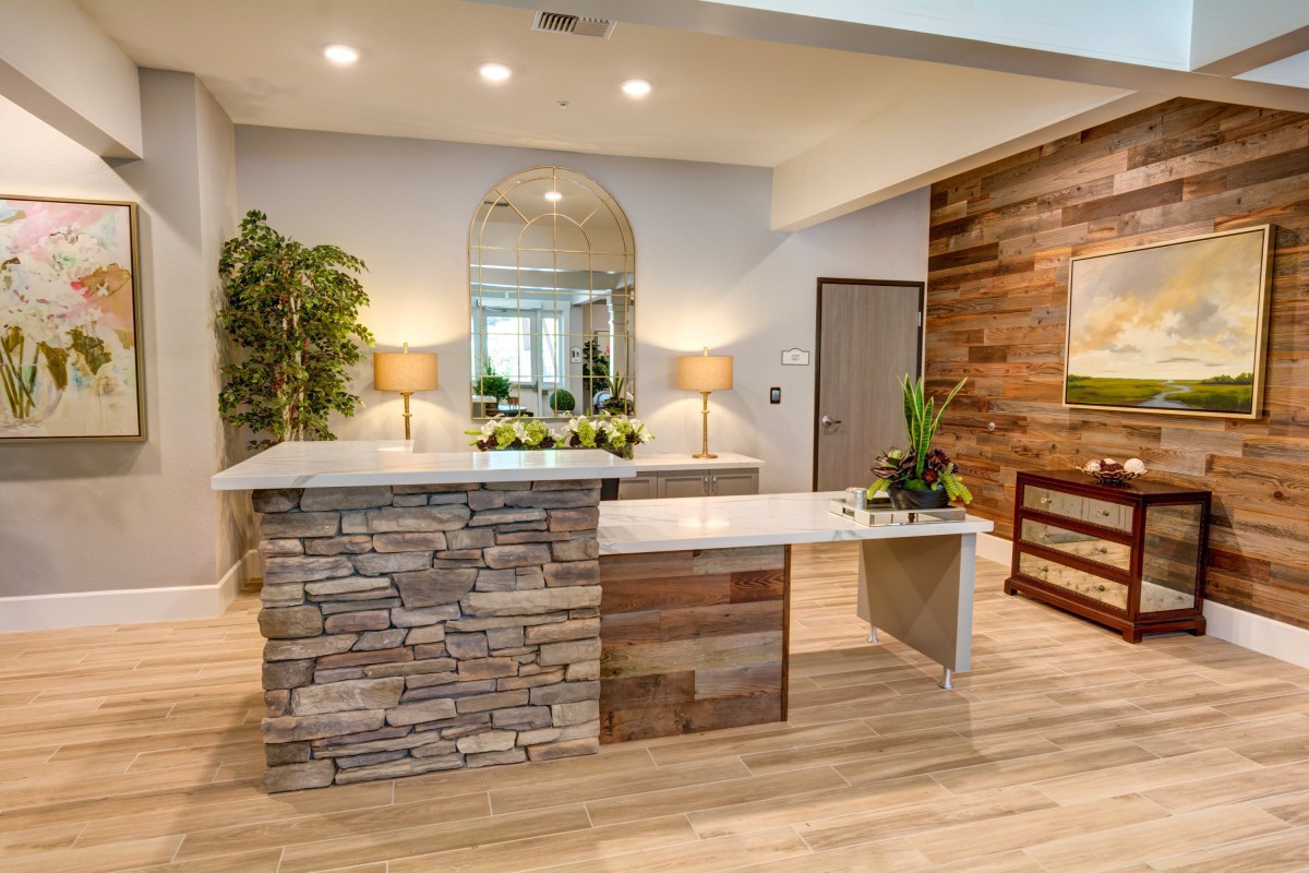 A modern reception area featuring stone and wood accents with decorative plants and warm lighting.
