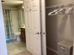 A bathroom with a shower, sink, and toilet visible through an open door adjacent to a closet.