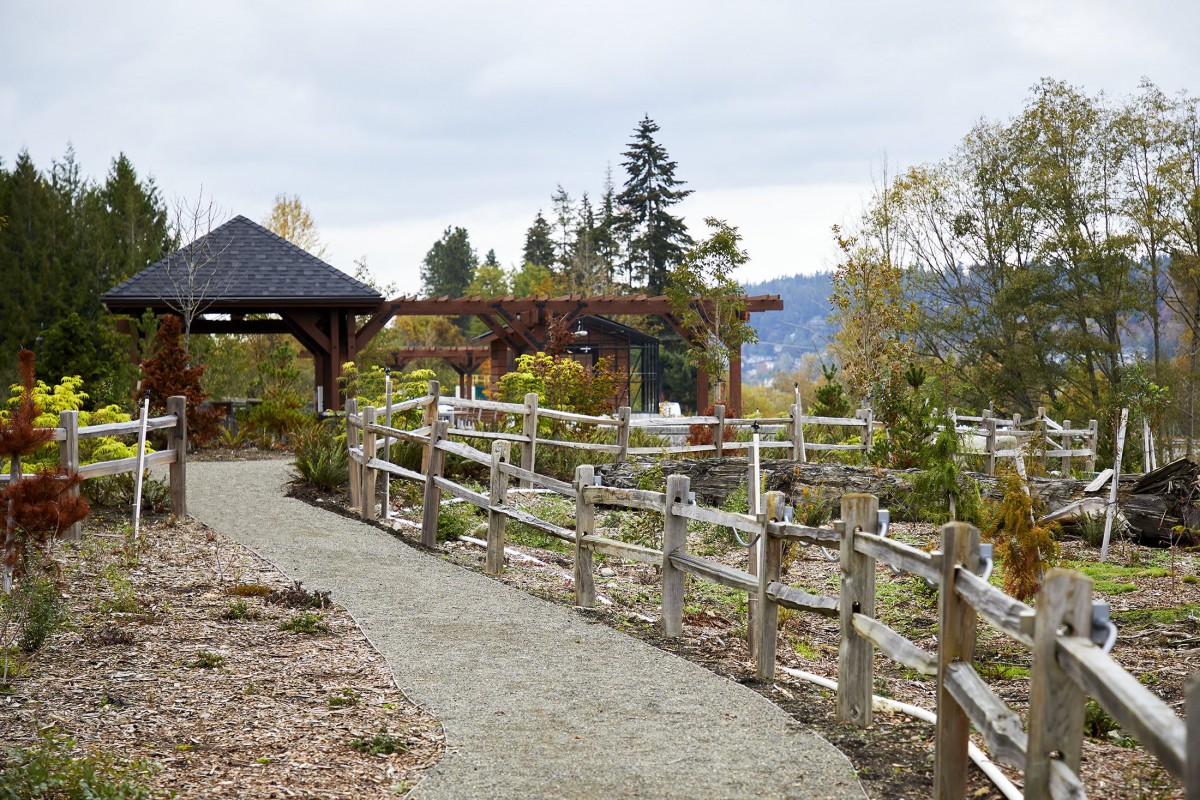 A serene garden pathway with a wooden fence and gazebo, surrounded by lush trees.