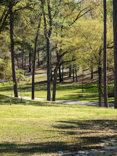 A serene park pathway surrounded by lush trees and vibrant green grass.