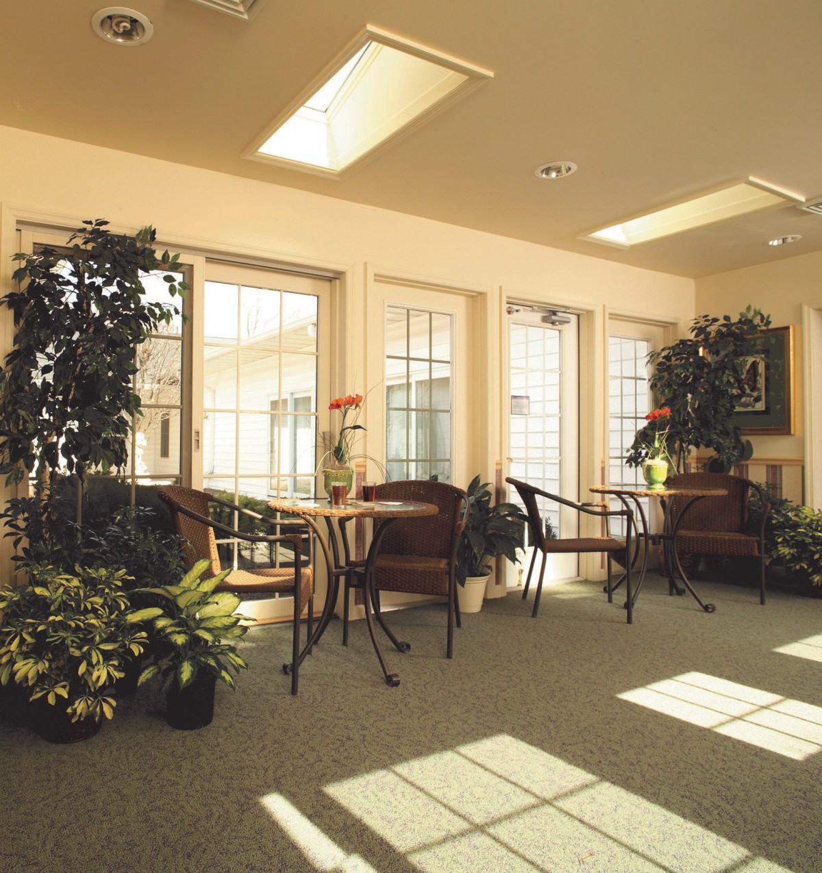 A cozy waiting room with natural lighting, featuring several chairs and tables surrounded by greenery.