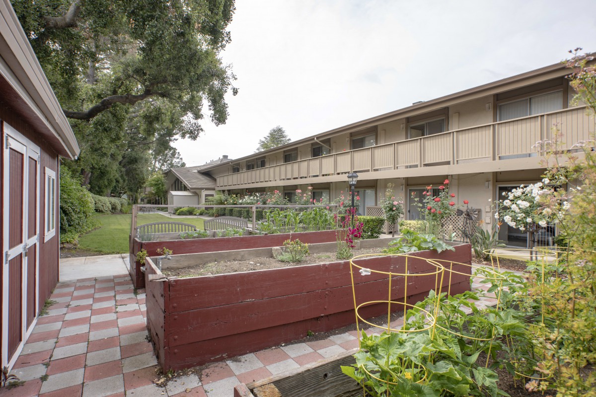 A community garden with raised beds outside an apartment complex.