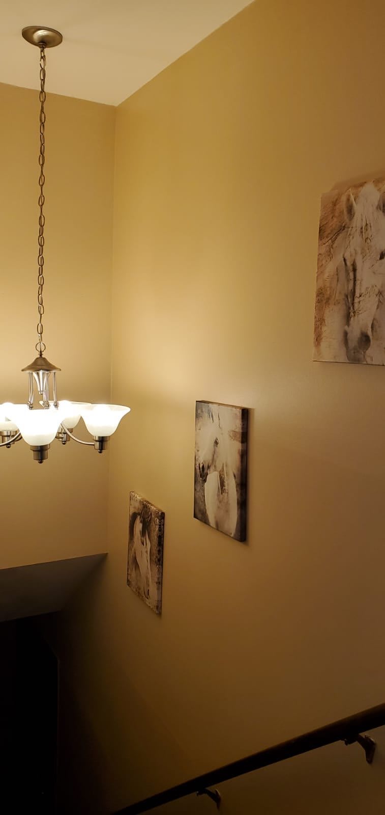 A staircase illuminated by a chandelier with artwork on the walls.