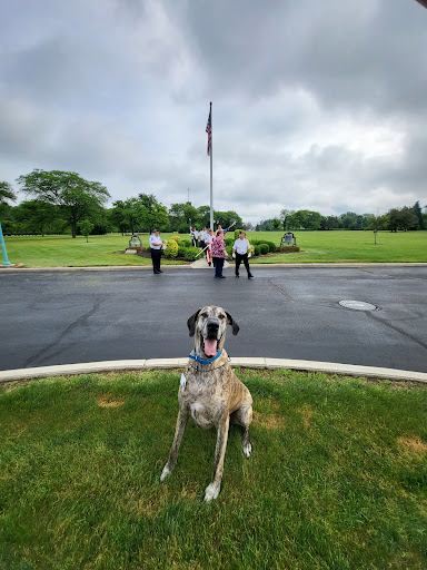 A happy Great Dane posing in front of a flag with some people in the background.
