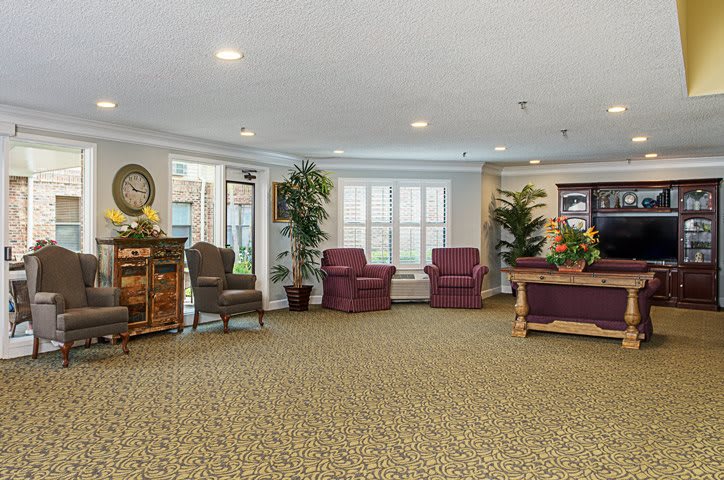 A cozy living room area with comfortable seating and decorative plants.