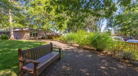 A peaceful park scene with a wooden bench, pathway, and lush greenery under a clear blue sky.