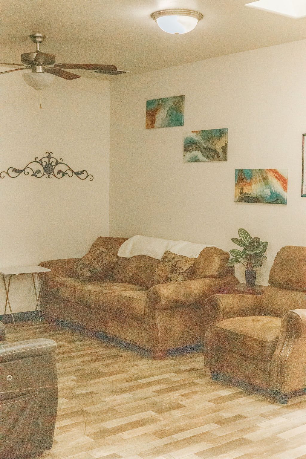 Cozy living room with a brown sofa set, wall art, and a potted plant.