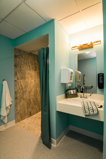 A modern bathroom featuring turquoise walls, a walk-in shower, and a sleek sink area.