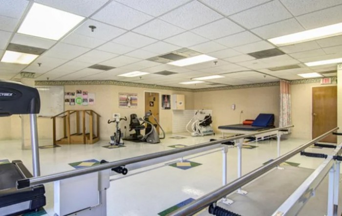 Manor Care Health Services -Silver Spring