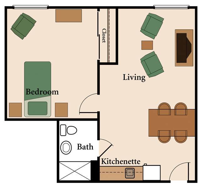 Floor plan of a one-bedroom apartment with a living area and kitchenette.