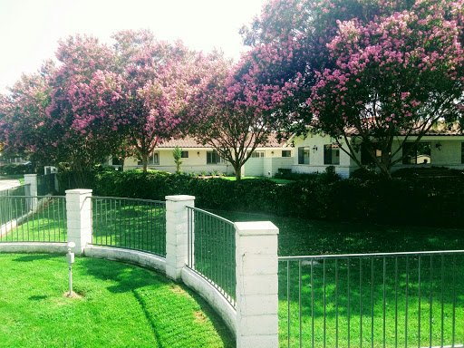 A serene view of a residential area with blooming trees and a well-maintained garden.