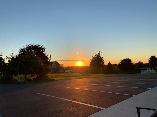 A serene sunset casting warm hues over the horizon, framed by trees in a peaceful outdoor setting.