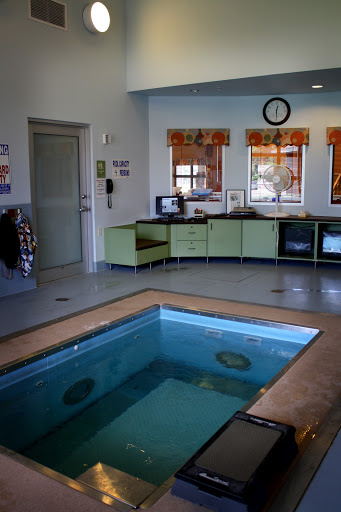 A spacious therapy room featuring an indoor pool, designed for rehabilitation and wellness.
