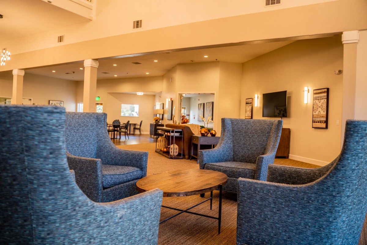 A modern living room with comfortable seating and bright lighting.