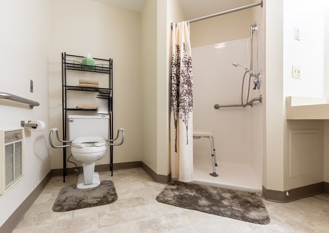 Accessible bathroom with a toilet and shower featuring safety grab bars and a storage shelf.