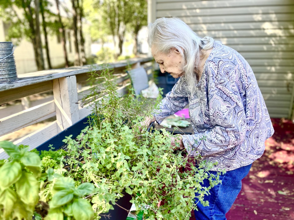 An elderly woman tending to her herb garden on a sunny day.