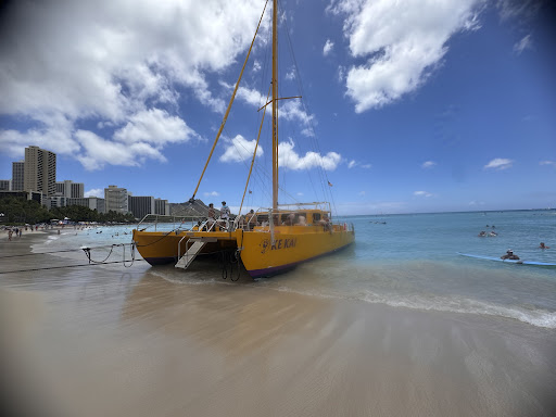 A vibrant yellow catamaran anchored on a sandy beach under a clear blue sky.