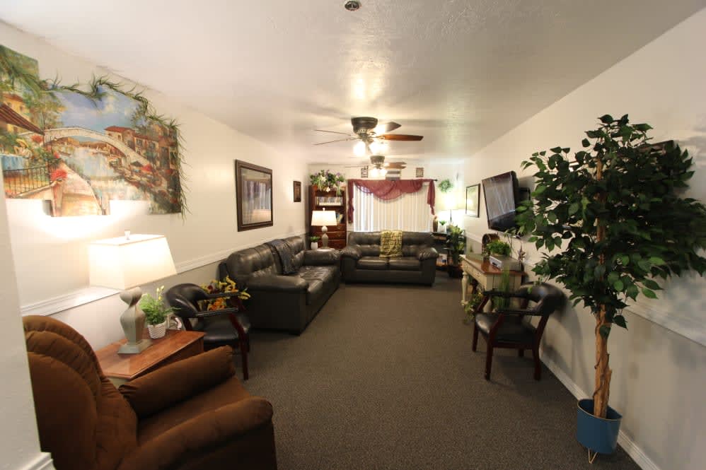 A cozy living room with sofas, a TV, indoor plants, and wall decorations.