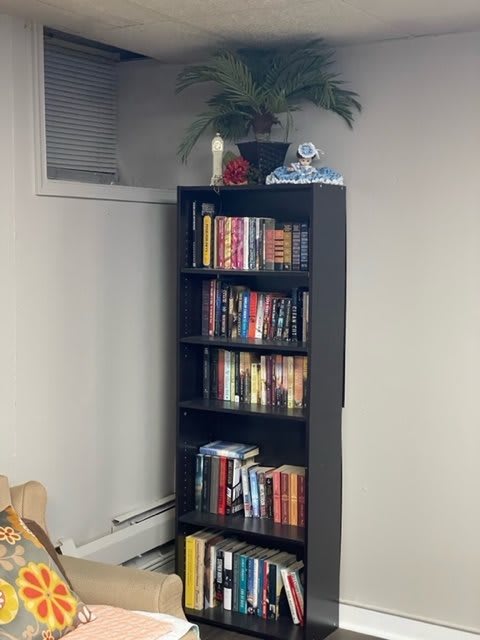 A tall, black bookshelf filled with books, topped with a plant and decorative items.