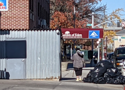 A pedestrian walks down the sidewalk near a corner with colorful autumn leaves, showcasing an urban setting.