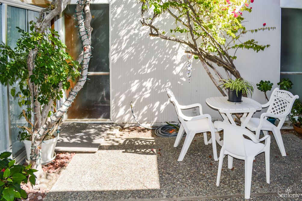 A sunny patio with white plastic chairs and a table surrounded by plants.