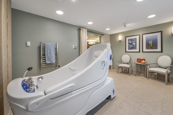 A modern bathroom with a spa-like bathtub and contemporary decor.