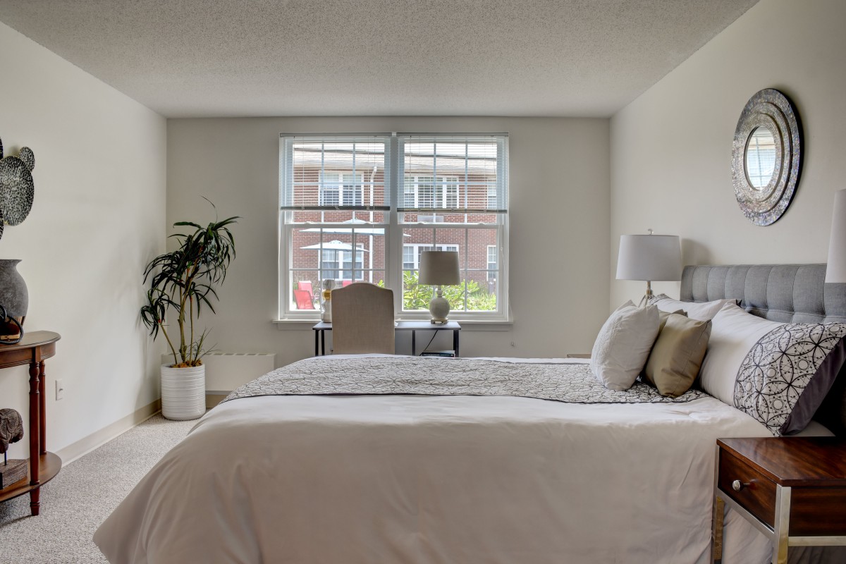 A minimalist bedroom with a large bed, potted plant, and a desk by the window.